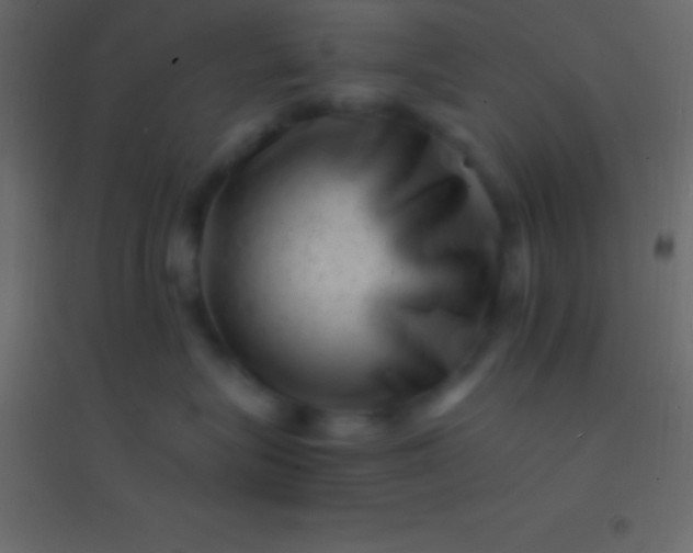 X0000094960575200712131647