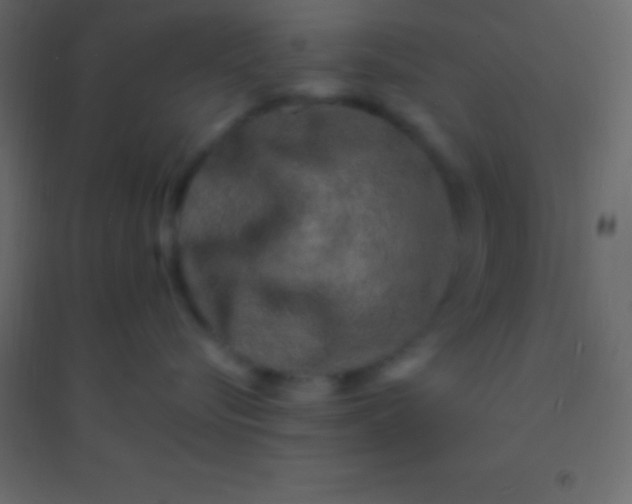 X0000094960576200712131647