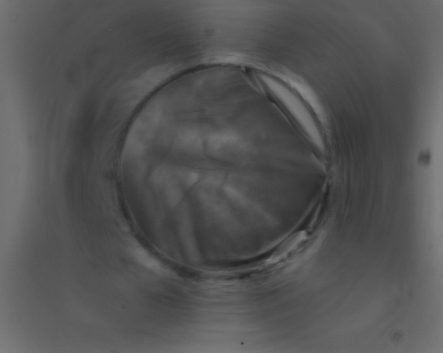 X0000094960577200712131647