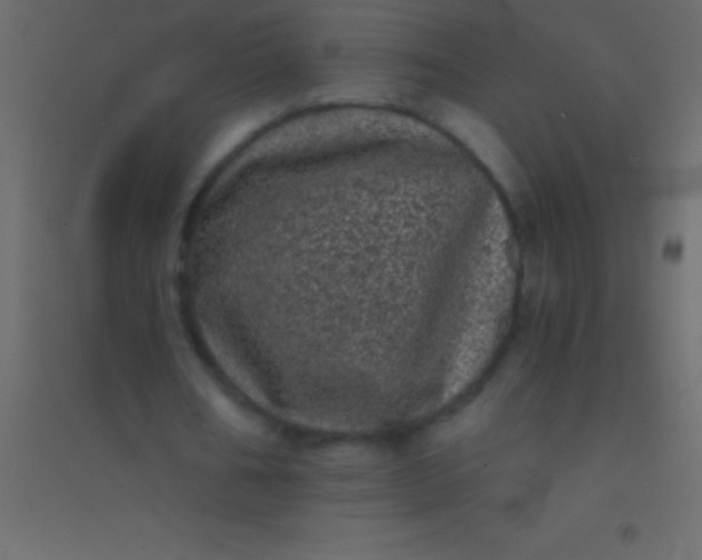 X0000094960578200712131647