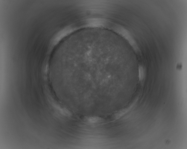 X0000094960579200712131647