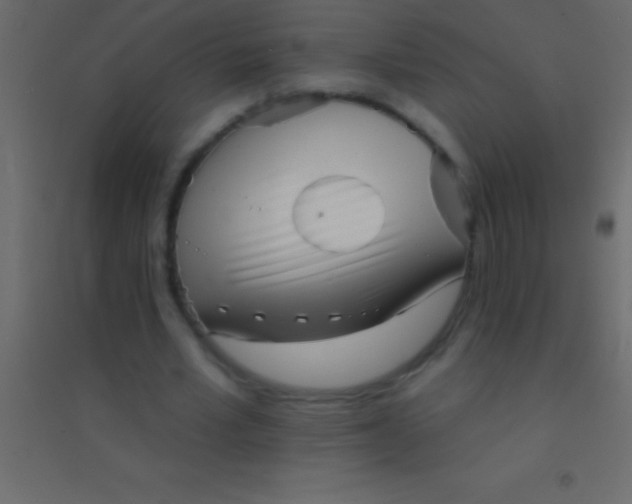 X0000094960581200712131647