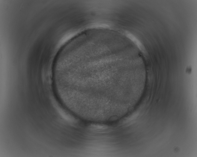 X0000094960582200712131647