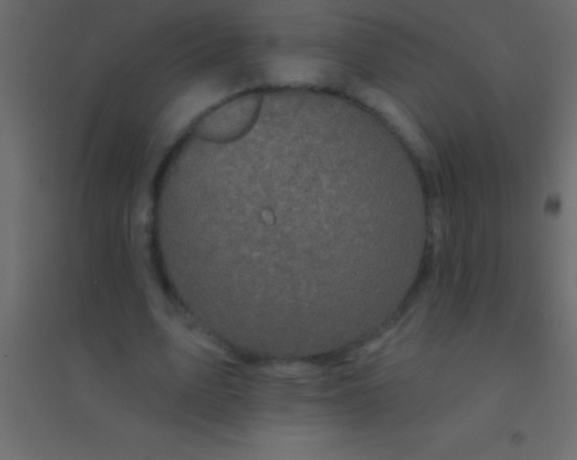 X0000094960583200712131647