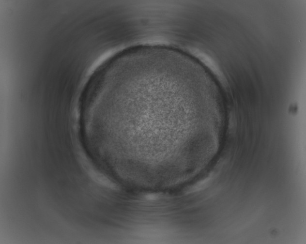 X0000094960584200712131647