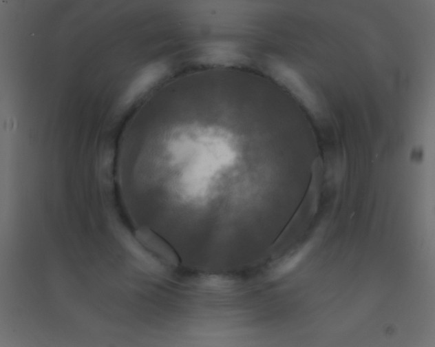 X0000094960585200712131647