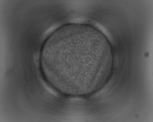 X0000094960586200712131647