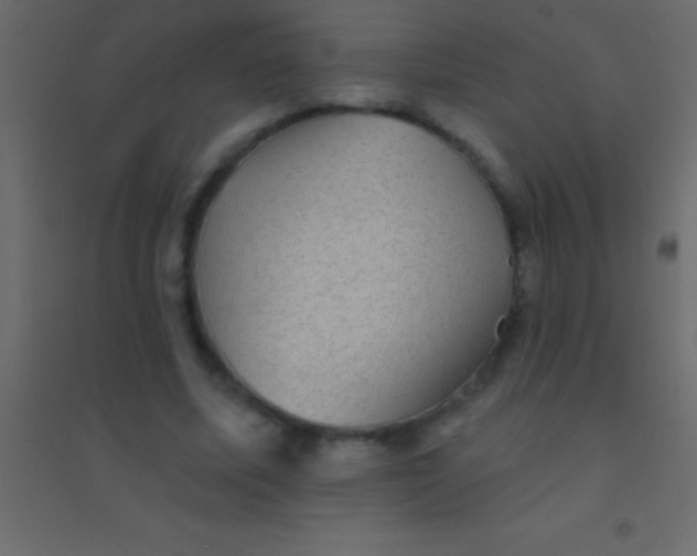 X0000094960587200712131647