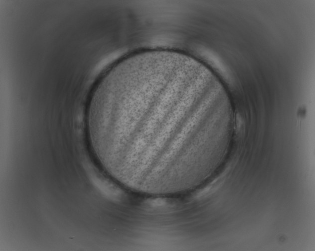 X0000094960588200712131647