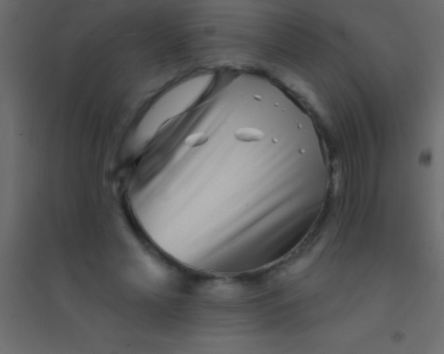 X0000094960589200712131647