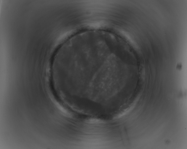 X0000094960590200712131647