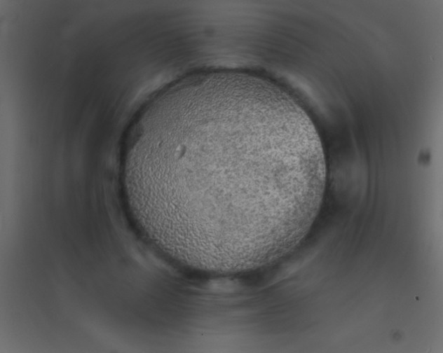 X0000094960591200712131647