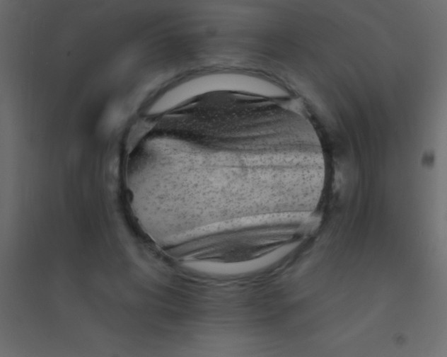 X0000094960592200712131647