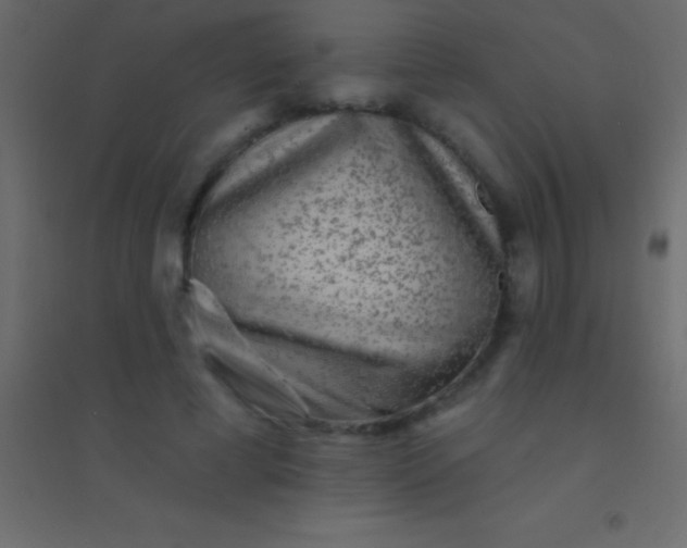 X0000094960593200712131647