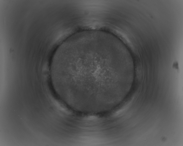 X0000094960594200712131647