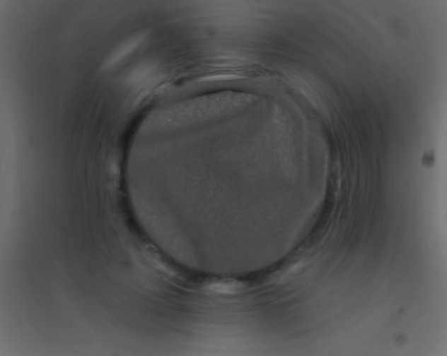 X0000094960595200712131647