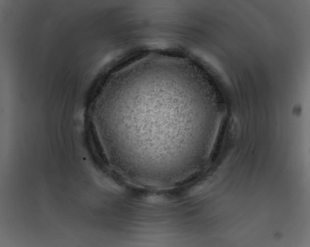 X0000094960596200712131647