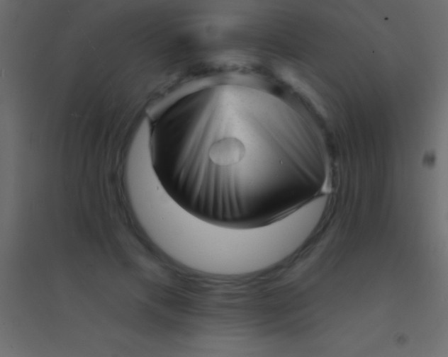 X0000094960597200712131646