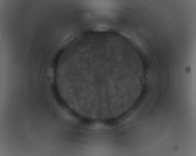 X0000094960598200712131646