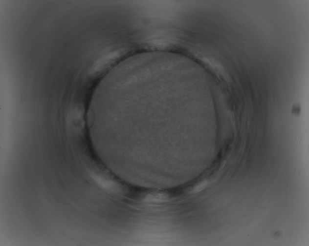 X0000094960599200712131646