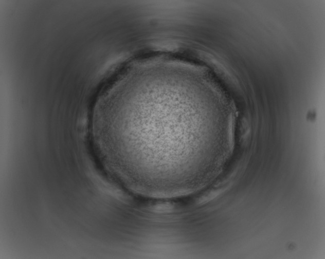 X0000094960600200712131646