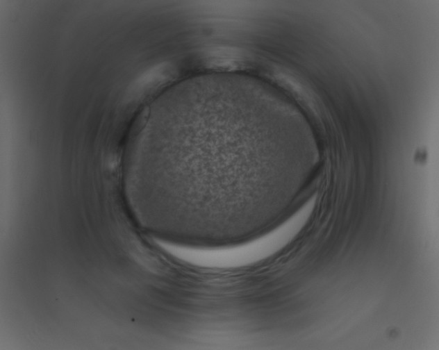 X0000094960601200712131646