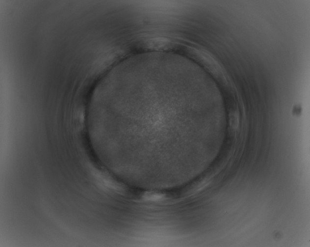 X0000094960602200712131646