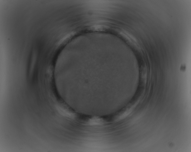 X0000094960603200712131646