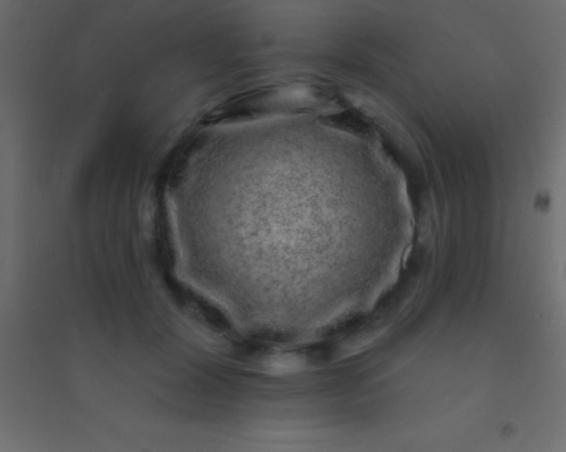 X0000094960604200712131646