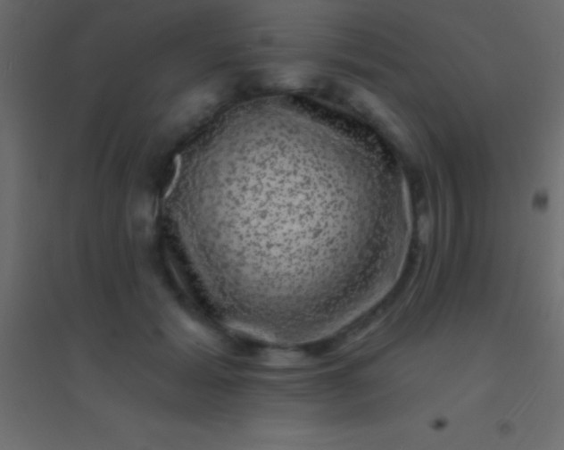 X0000094960605200712131646