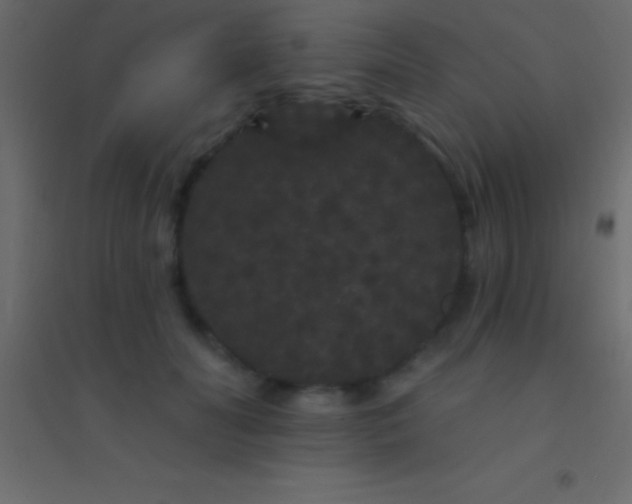 X0000094960606200712131646