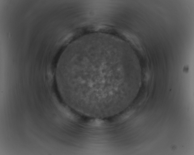 X0000094960607200712131646