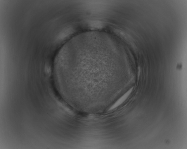 X0000094960608200712131646