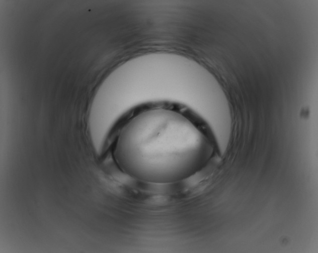 X0000094960609200712131646