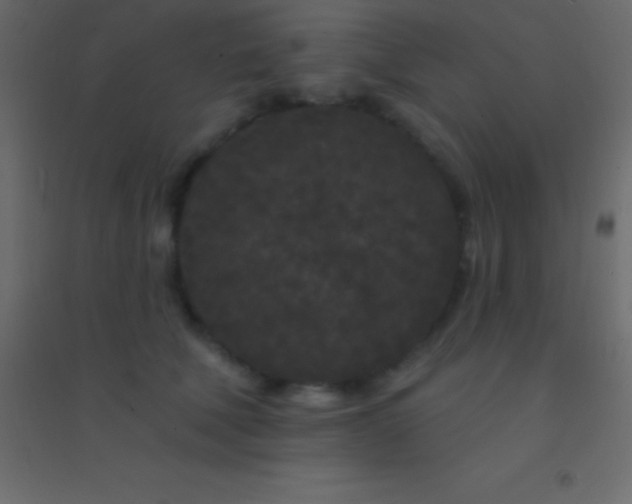 X0000094960610200712131646