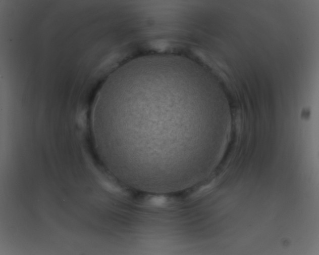 X0000094960611200712131646