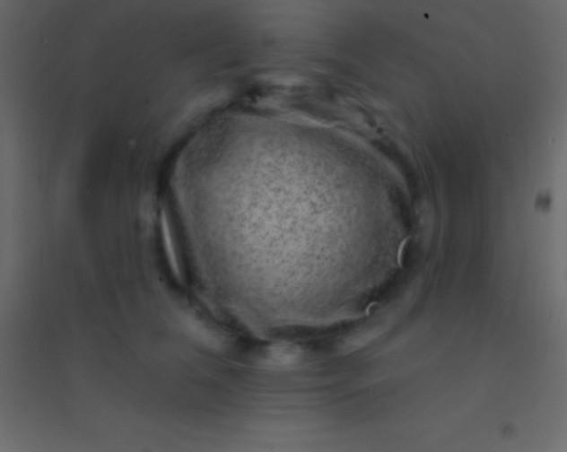 X0000094960612200712131646