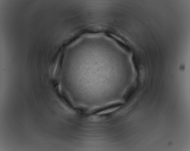 X0000094960613200712131646