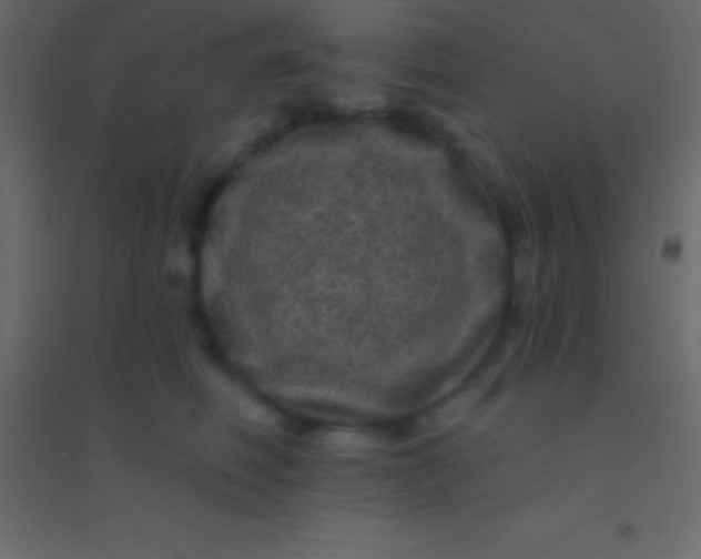 X0000094960614200712131646