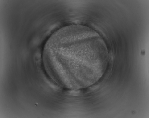 X0000094960615200712131646