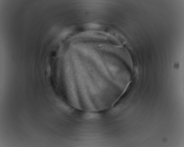 X0000094960617200712131646