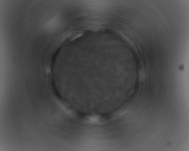 X0000094960618200712131646