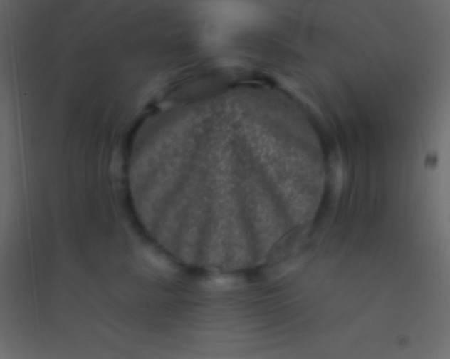 X0000094960619200712131646