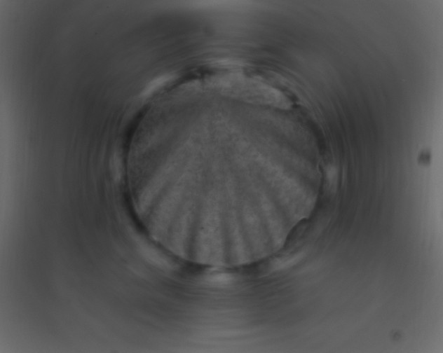 X0000094960620200712131646