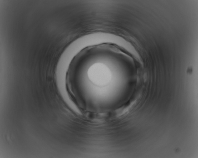 X0000094960621200712131646