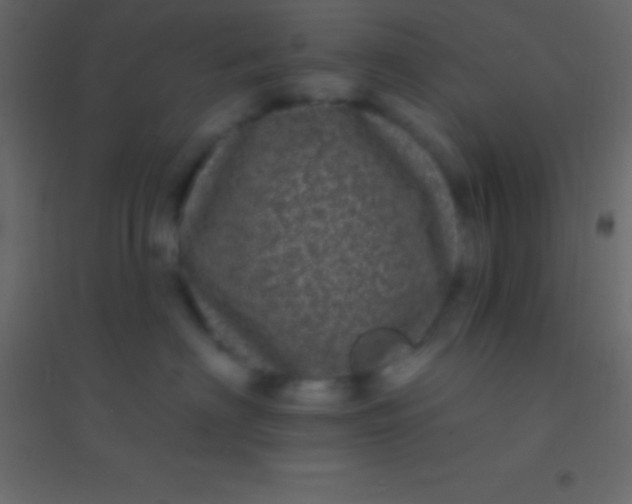 X0000094960622200712131646