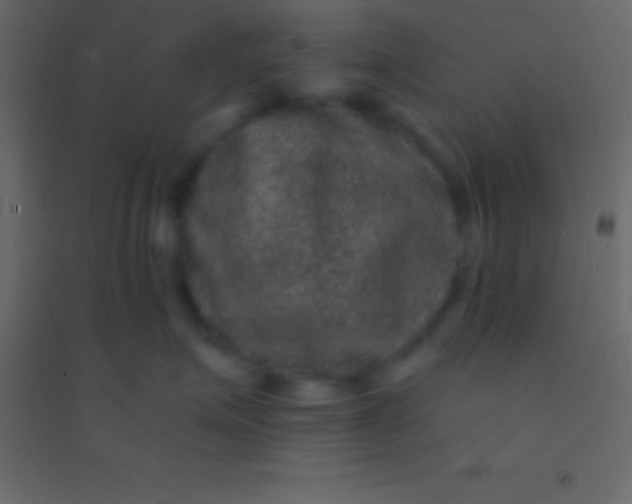 X0000094960623200712131646