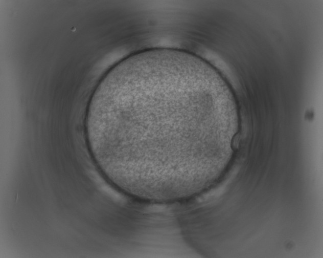 X0000094960625200712131645