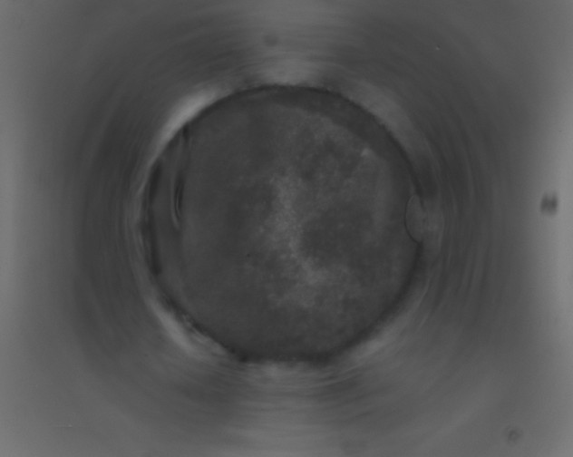 X0000094960626200712131645