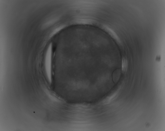 X0000094960627200712131645